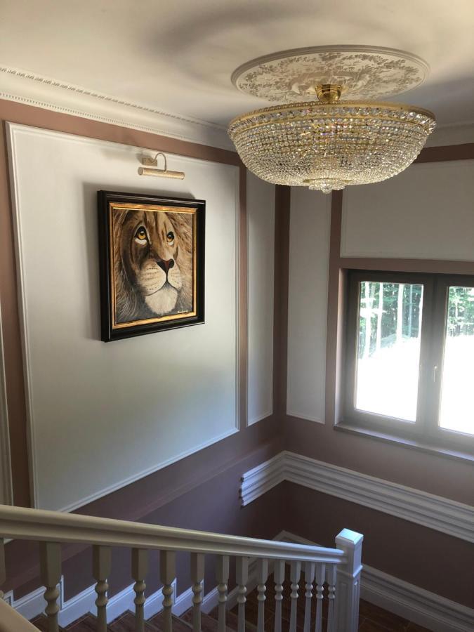 Hotel Galeria Pezinska Baba 皮兹诺克 外观 照片
